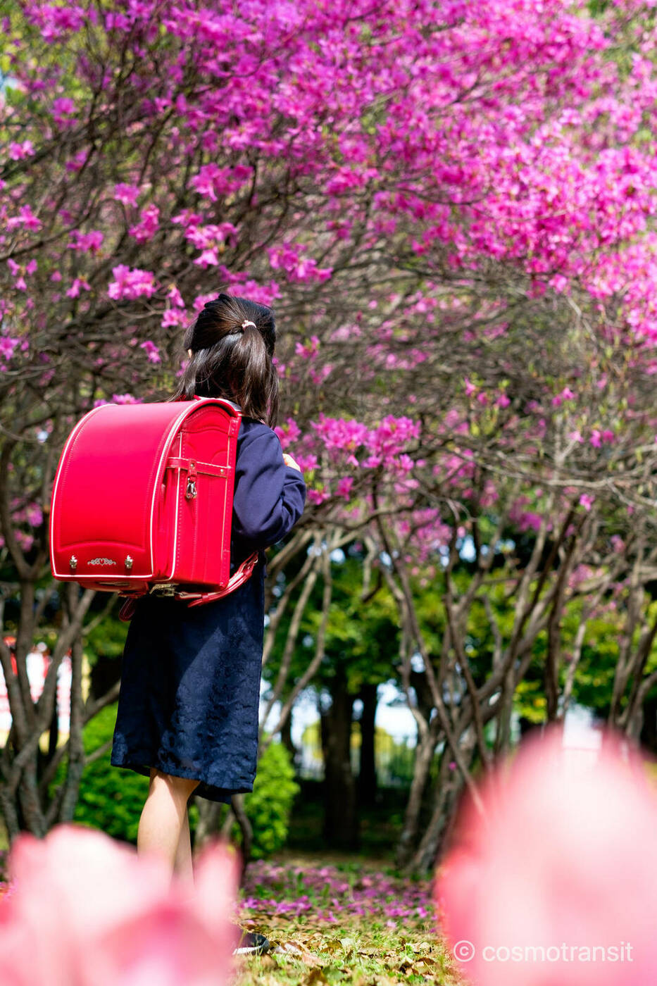 Schulranzen oder Rucksack ?