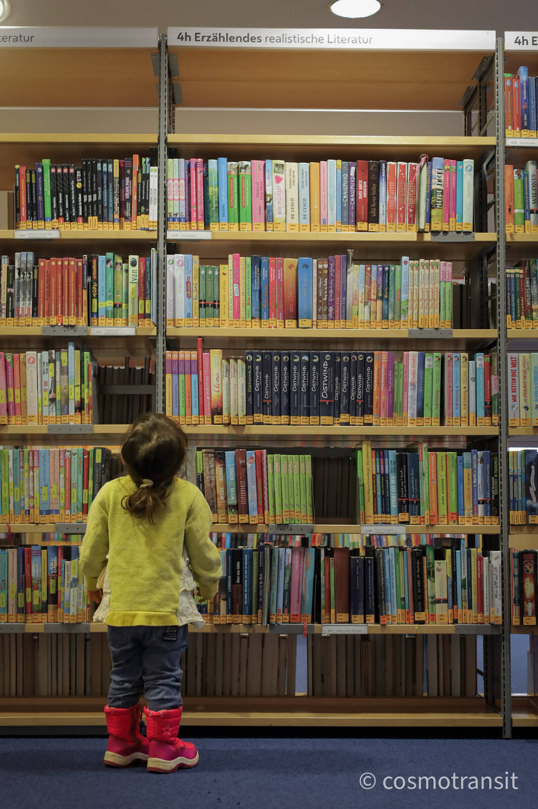 最近の図書館事情