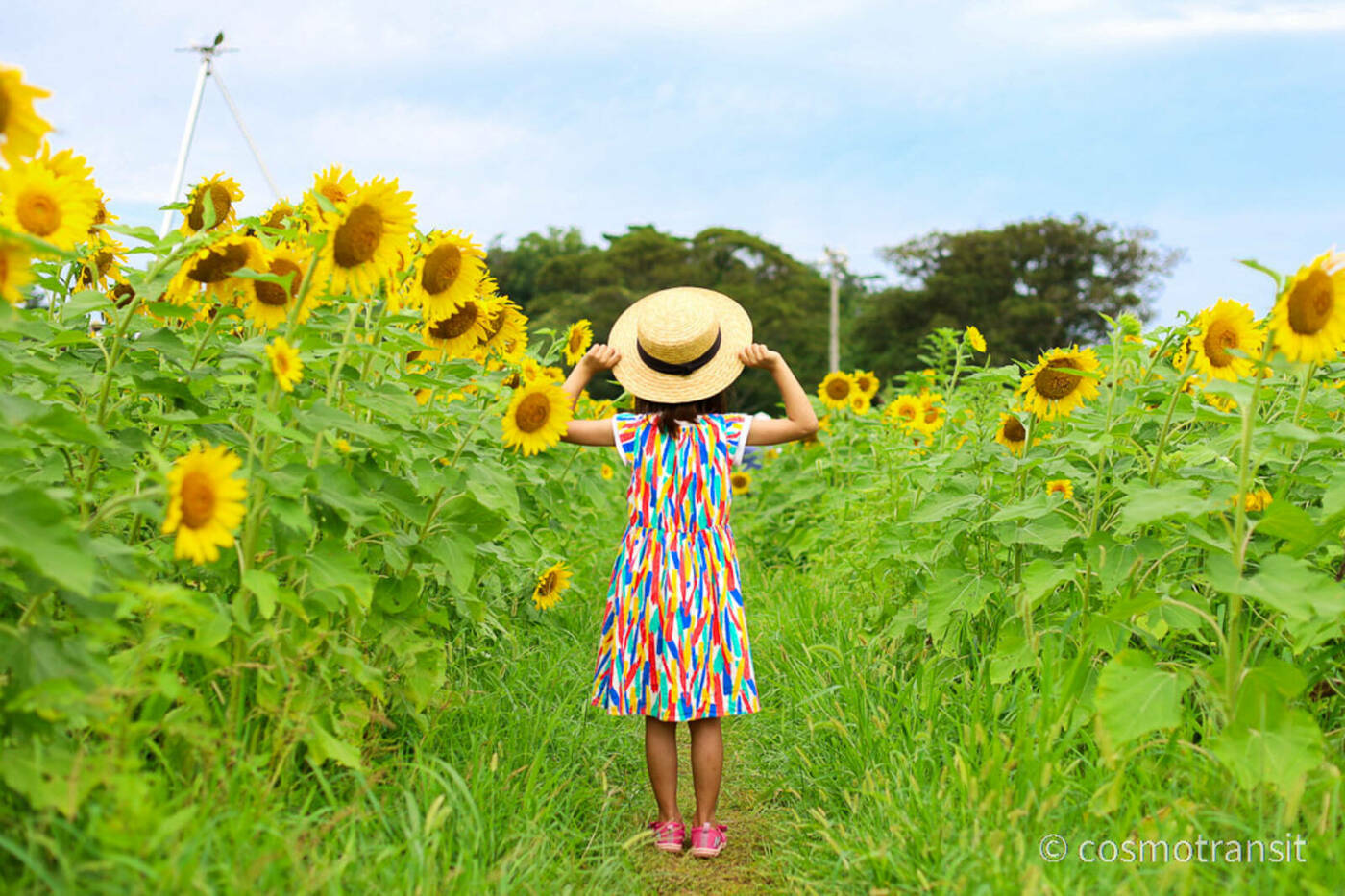 夏休み